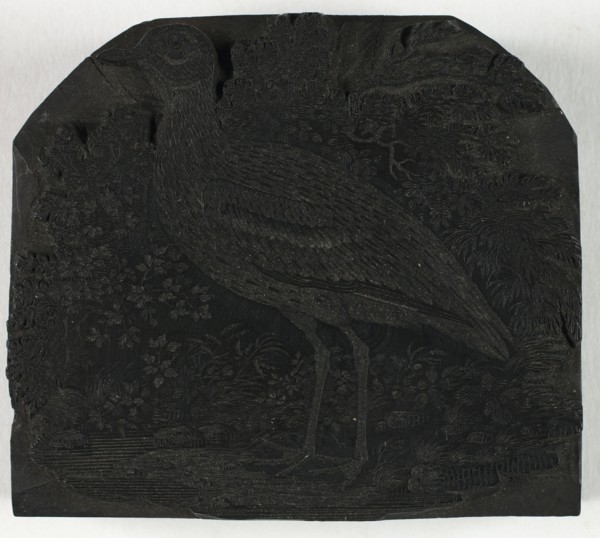 Woodblock for The Great Plover, from A History of British Birds, c. 1797.