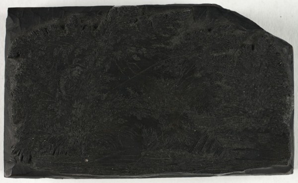 Woodblock for Man Fishing Under a Tree with Waterfall, n.d.