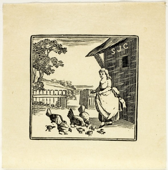 Book Illustration, n.d.