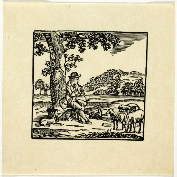 Book Illustration, n.d.