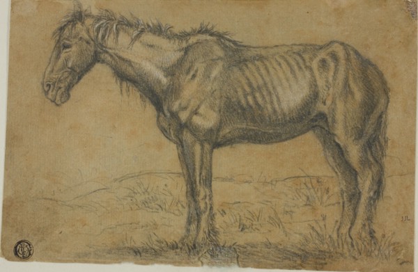 Emaciated Horse (recto); Frontal View of a Horse (verso), n.d.