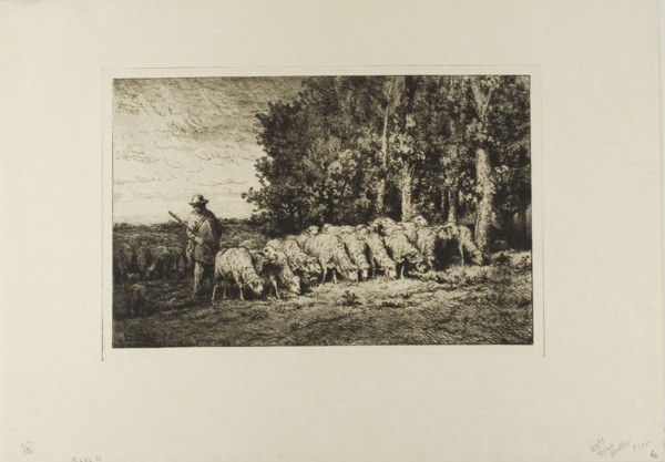 Flock of Sheep at the Edge of a Wood, 1877.