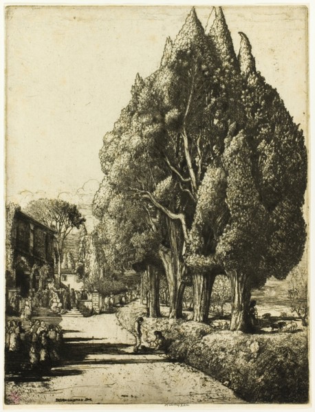 The Cypress Grove, 1904.