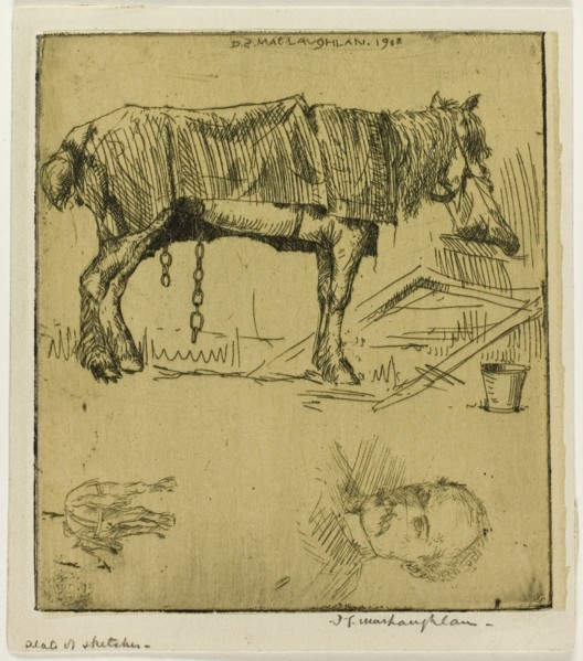 Plate of Sketches, 1902.