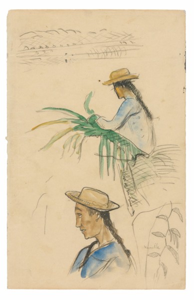 Sketches of Figures, Pandanus Leaf, and Vanilla Plant, 1891/93.