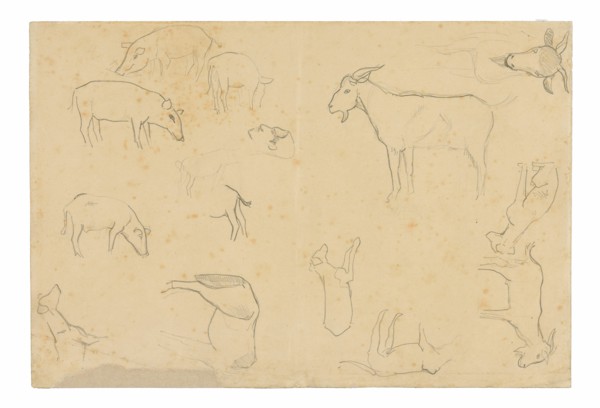 Sketches of Various Animals and Head (recto), Sketches of a Head, Figure in Profile, Anatomical Details, and Animals (verso), 1891/93.