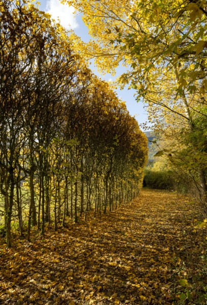 North Orbital Road, Broadwater Park, Denham, Buckinghamshire, 2018. Creator: Chris Redgrave.
