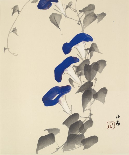 Morning glory, 1901 - 1942. Creator: Takeuchi Seiho.