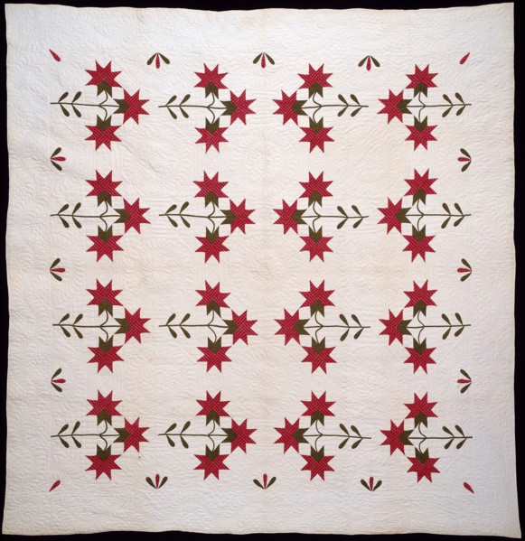 Bedcover (North Carolina Lily Quilt), United States, c.1850. Creator: Unknown.