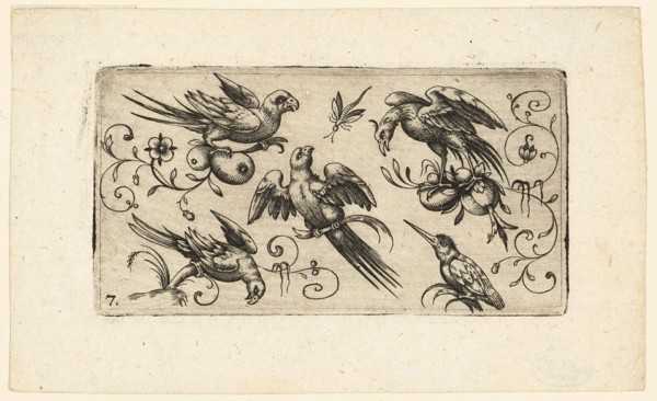 Ornament Panels with Birds: Plate 7, 1617. Creator: Adrian Muntink.
