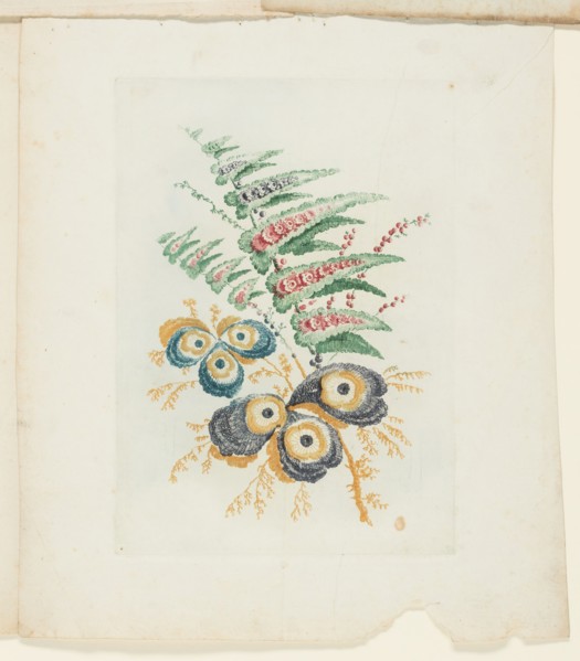 Plate, from New Suite of Notebooks of Ideal Flowers for Use by Draftsmen and Painters, c. 1795. Creator: Anne Allen.