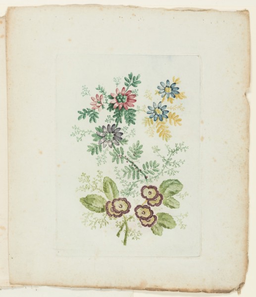 Plate, from New Suite of Notebooks of Ideal Flowers for Use by Draftsmen and Painters, c. 1795. Creator: Anne Allen.
