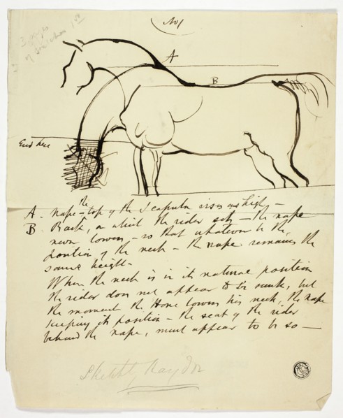 Sketch of Horse with Notations, n.d. Creator: Benjamin Robert Haydon.