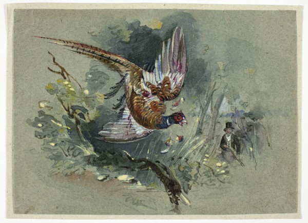 Pheasant and Hunter, 1825-1877. Creator: Charles B Newhouse.