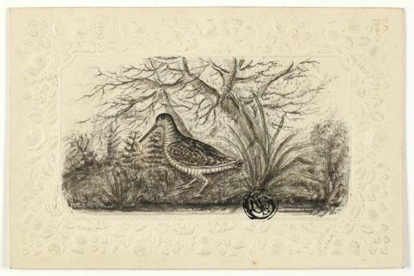 Grouse, n.d. Creator: Henry LeJeune.