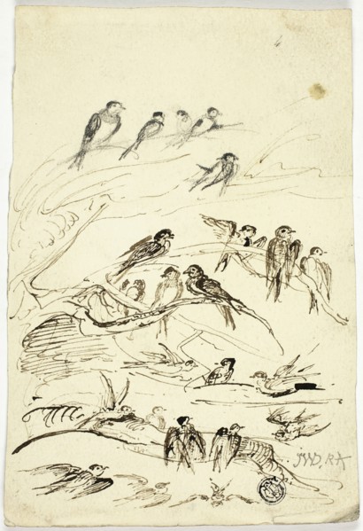 Swallows Before They Take Their Departure, n.d. Creator: James Ward.