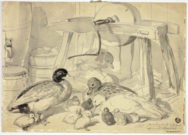 Ducks, Ducklings and Grindstone, n.d. Creator: John Frederick Herring I.