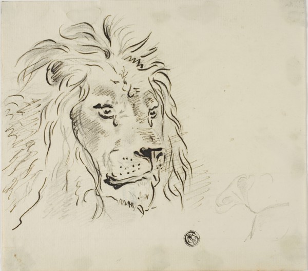 Lion's Head, n.d. Creator: Sawrey Gilpin.