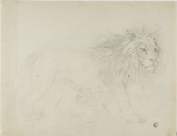 Lion, n.d. Creator: Sawrey Gilpin.