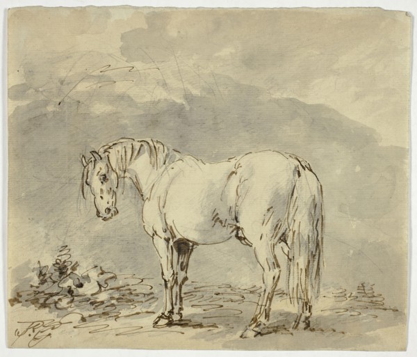Standing Horse with Head Turned, n.d. Creator: Sawrey Gilpin.