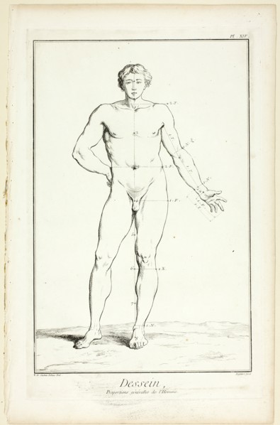 Design: General Proportions of the Male, from Encyclopédie, 1762/77. Creator: A. J. Defehrt.
