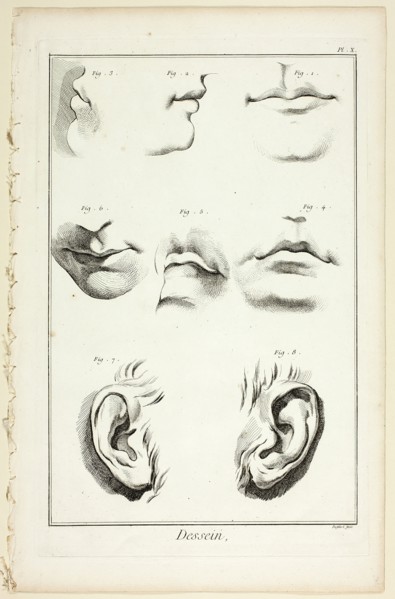 Design: Facial Anatomy from Encyclopédie, 1762/77. Creator: A. J. Defehrt.