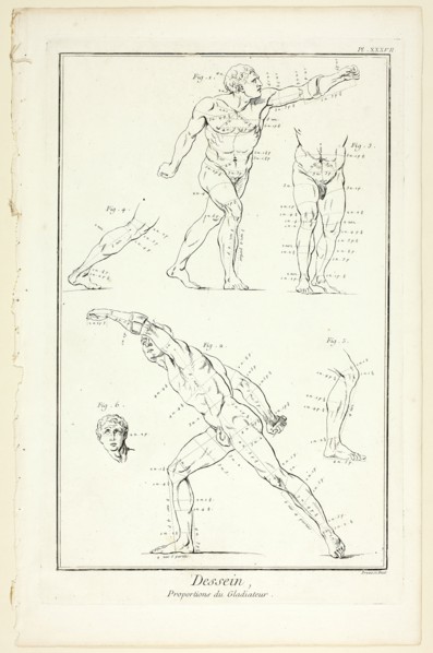 Design: Proportions of the Gladiator, from Encyclopédie, 1762/77. Creator: Benoit-Louis Prevost.