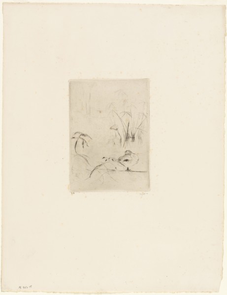 The Duck, 1889. Creator: Berthe Morisot.