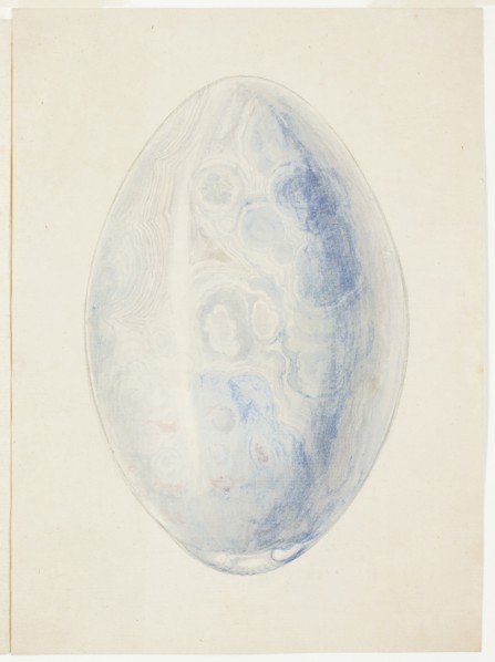 Overview of Oval Shell Stone, n.d. Creator: Giuseppe Grisoni.