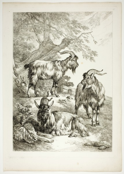 Plate Seventeen of 38 from Oeuvres de J. B. Huet, 1796–99. Creator: Jean Baptiste Marie Huet.