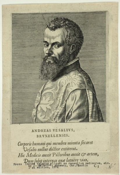 Portrait of Doctor Andreas Vesalius of Brussels, published 1574. Creators: Unknown, Johannes Sambucus.