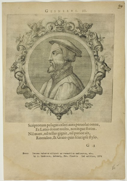 Portrait of Gesnerus, published 1574. Creators: Unknown, Johannes Sambucus.