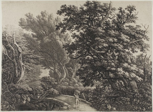 Rustic Bridge in a Tangled Wood, n.d. Creator: Carl Wilhelm Kolbe the elder.