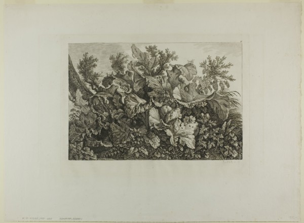 Swamp Plants, n.d. Creator: Carl Wilhelm Kolbe the elder.