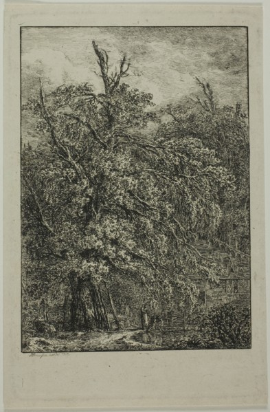 Great Tree, 1809. Creator: Domenico Quaglio II.