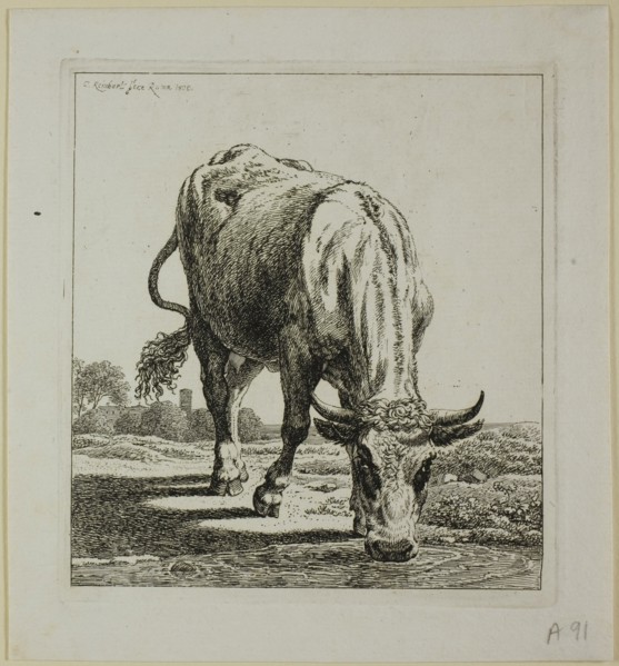 Cow Drinking, from Die Zweite Thierfolge, 1800. Creator: Johann Christian Reinhart.