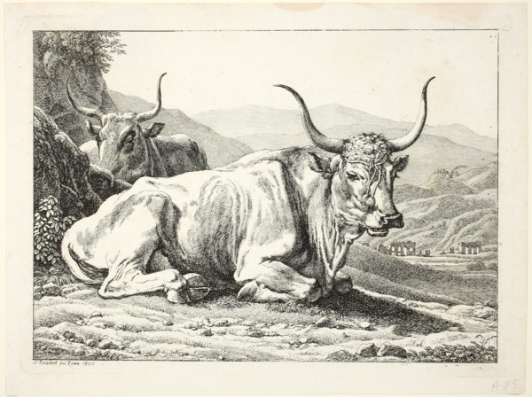 Two Roman Bulls Resting, from Die Zwiete Thierfolge, 1800. Creator: Johann Christian Reinhart.
