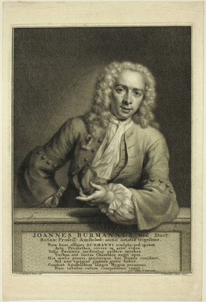 J. Burmannus, n.d. Creator: Jacobus Houbraken.