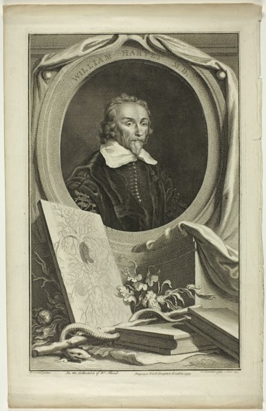 William Harvey, M.D., 1739. Creator: Jacobus Houbraken.