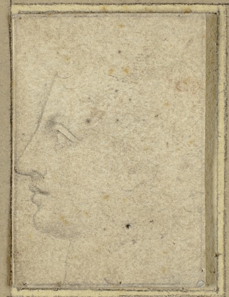Head of a Youth in Profile to Left, n.d. Creator: Unknown.