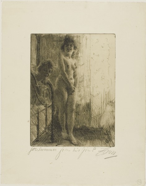 A Dark Corner, 1903. Creator: Anders Leonard Zorn.