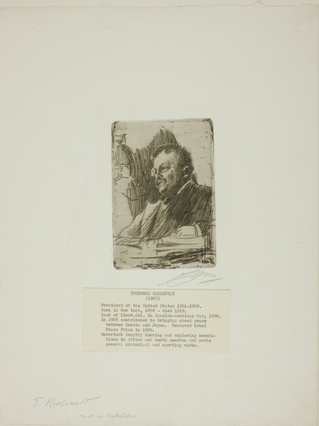 Theodore Roosevelt, 1905. Creator: Anders Leonard Zorn.