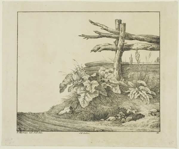 Landscape with Flora and Rustic Fence near Roadside, n.d. Creator: Lorenz Ekemann Alesson.
