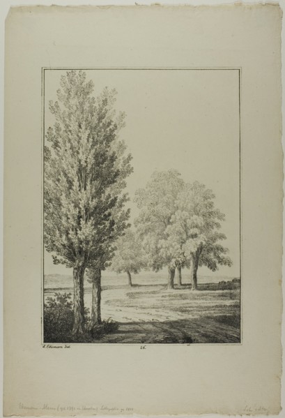Plate 26 from Blatt Baum und Landschafts Studien, c.1810. Creator: Lorenz Ekemann Alesson.
