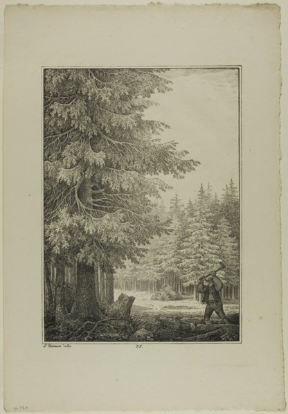 Plate 35 from Blatt Baum und Landschafts Studien, c.1810. Creator: Lorenz Ekemann Alesson.