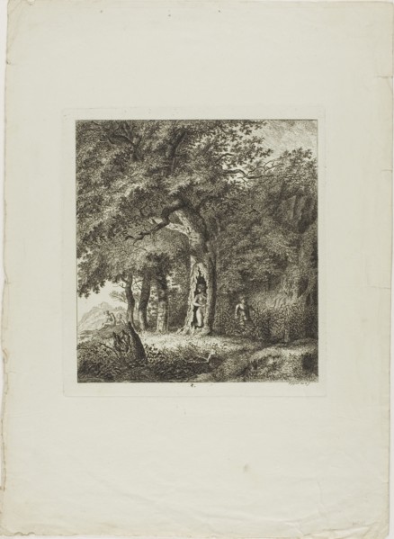 Nymph Hiding in a Tree, plate eight from Paysages Dédiés à M. Warelet, 1764. Creator: Salomon Gessner.