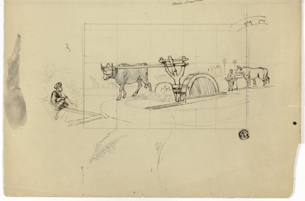 Ox Working on a Treadmill, n.d. Creator: Unknown.