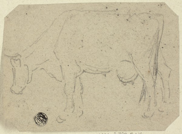 Cow Grazing (recto); Head of an Animal (verso), n.d. Creator: Unknown.