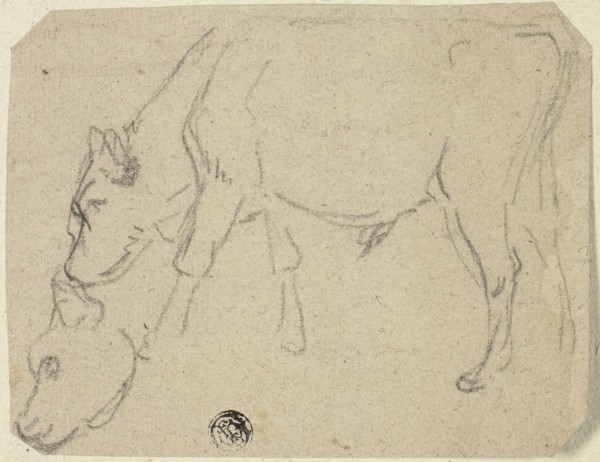 Sketches of Grazing Bull, Cow's Head (recto); Seated Cow in Profile (verso), n.d. Creator: Unknown.