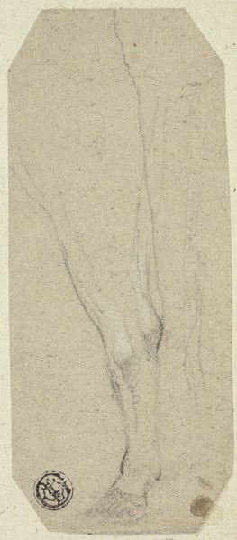 Cow's Leg, n.d. Creator: Unknown.